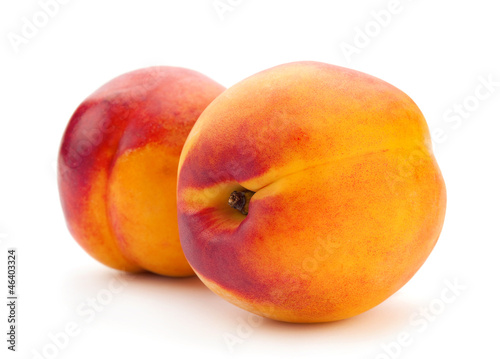 Photo: Two nectarine fruit Two nectarine fruit