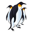 Arctic Penguins