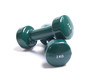 Two dumbbells