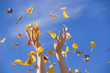 happy autumn