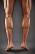 Muscular male legs