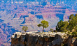 Grand Canyon, Arizona, USA