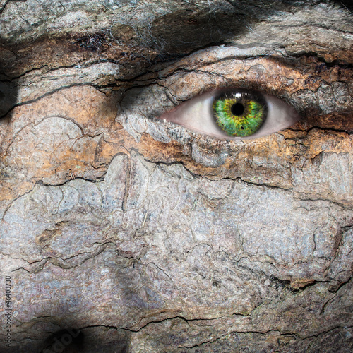 Photo: Conceptual image of a face with a bark skin Conceptual image of a face with a bark skin