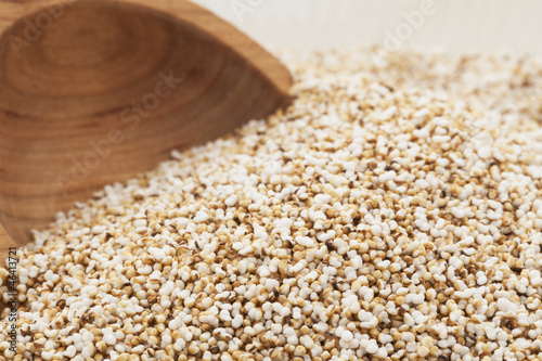 Photo: Popped Amaranth Popped Amaranth