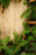 christmas fir tree with pinecones