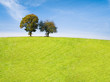 Agrotourismus