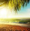 Sunset over the tropical beach. HDR processed.