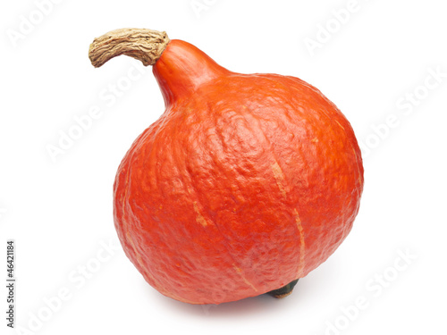 Photo: Hokkaidokürbis Hokkaidokürbis