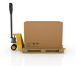 pallet truck and carton