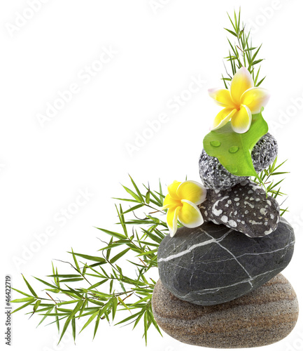 Photo: composition zen composition zen