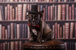 Cute french bulldog puppy with old-fashioned hat