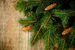 christmas fir tree with pinecones
