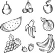Set of sketches of opular fruits