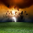 Dramatic landscape