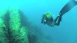 immersione subacquei diving