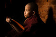 Novice education