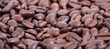 Banner mit Kaffeebohnen