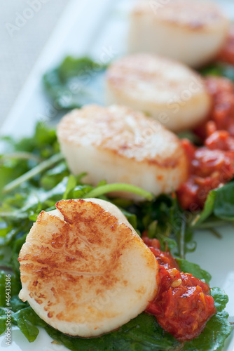 Photo: Seared Scallop Appetizer Seared Scallop Appetizer