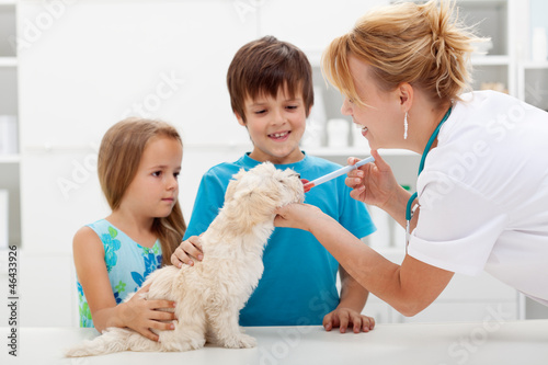 Photo: Kids with their pet at the veterinary doctor Kids with their pet at the veterinary doctor