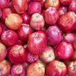 Photo: red apples for sale, natural background red apples for sale, natural background