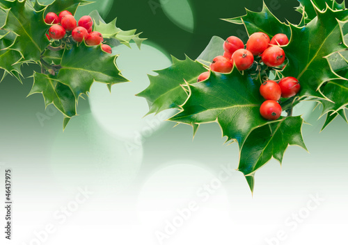 Photo: Holly Holly