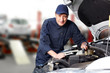 Professional auto mechanic.