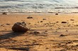 Deniz