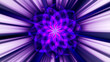 Abstrakte  violette geschwungene Form