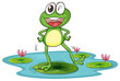 a frog and a water