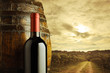 red wine bottle, vineyard on background