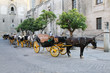 Forse-drawn carriage