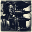 Gold Buddha