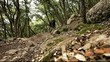 Wandern Mallorca
