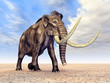 Mammut
