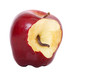 worm in apple