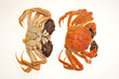 Steamed Cooked Hairy Crabs