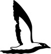 MOUETTES