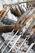 Fischgrill