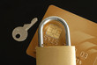 Datensicherheit, Datenschutz, Kreditkarte, Betrug, Internet