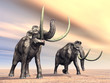 Mammoths