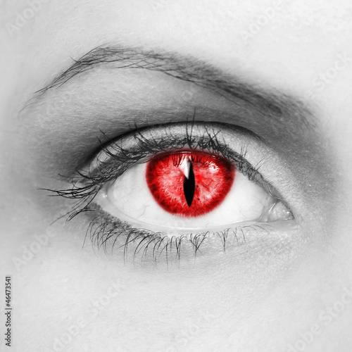 Photo: Vampire eyes Vampire eyes