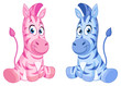 Vector: Baby zebras Baby zebras