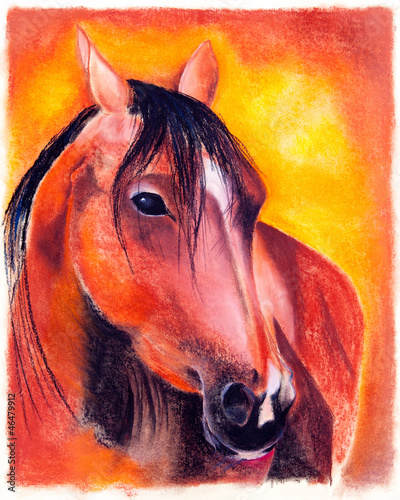 Photo: Pastell - Pferd Pastell - Pferd