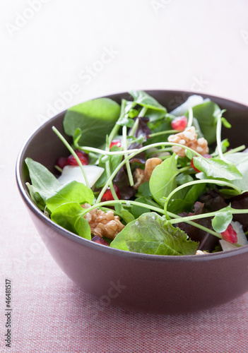Photo: Salad with lettuce, pomegranate, walnuts and cheese Salad with lettuce, pomegranate, walnuts and cheese