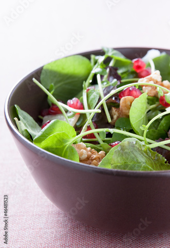 Photo: Salad with lettuce, pomegranate, walnuts and cheese Salad with lettuce, pomegranate, walnuts and cheese