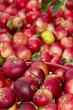 Red apples