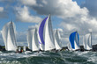 group yacht at regatta