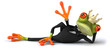 Fun frog