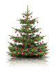 Foto: Christbaum Christbaum