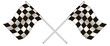 checkered flag. vector